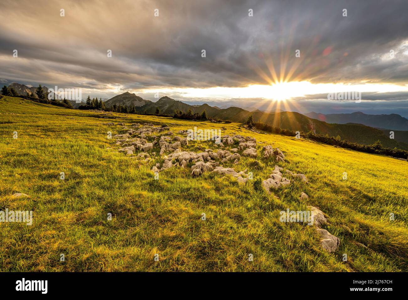 Lush green meadow hi-res stock photography and images - Alamy