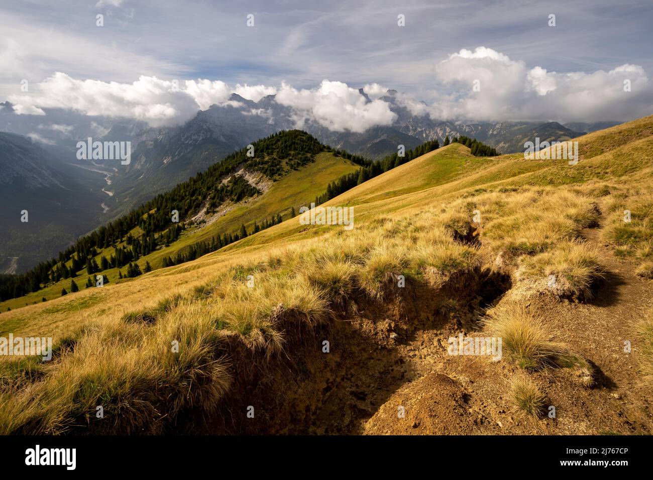 Soil erosion at a hiking trail on the Schönalm in the karwendel, single tufts of grass are still standing, the rest has already been washed away in a kind of gully Stock Photo