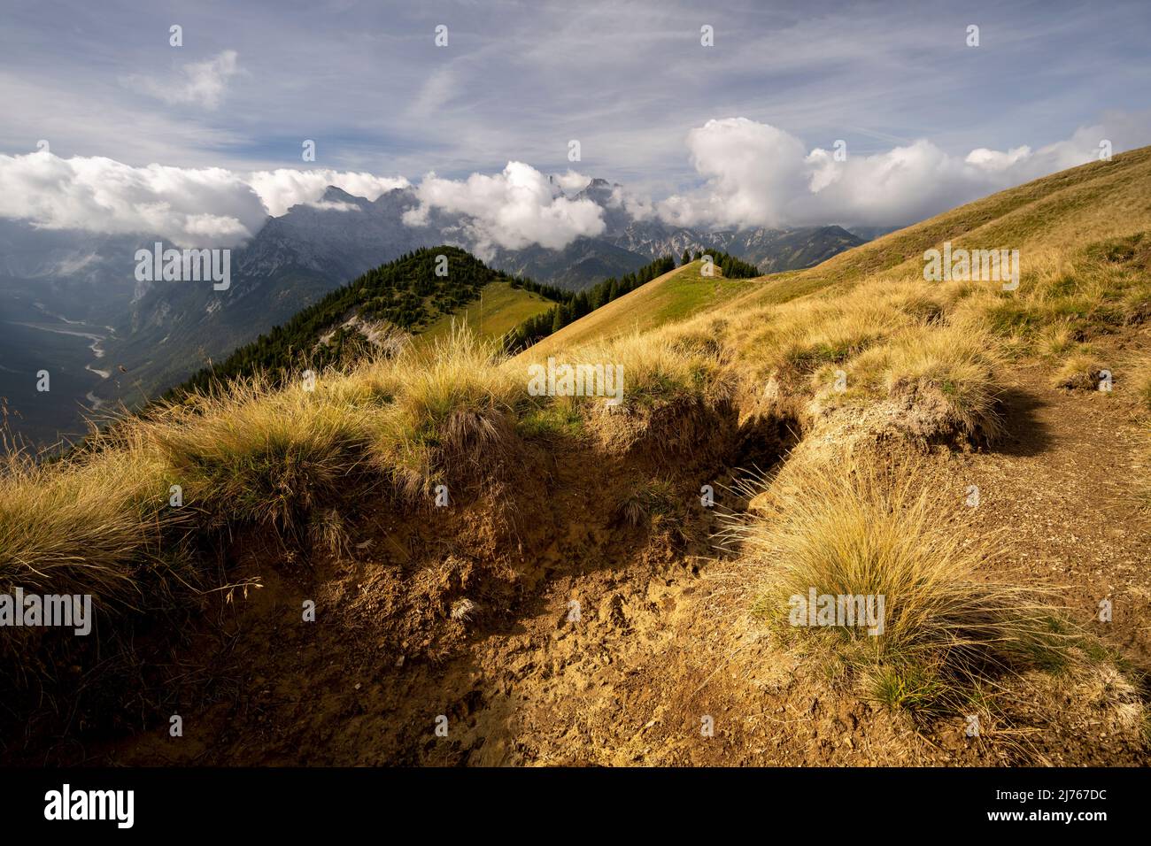 Soil erosion at a hiking trail on the Schönalm in the karwendel, single tufts of grass are still standing, the rest has already been washed away in a kind of gully Stock Photo