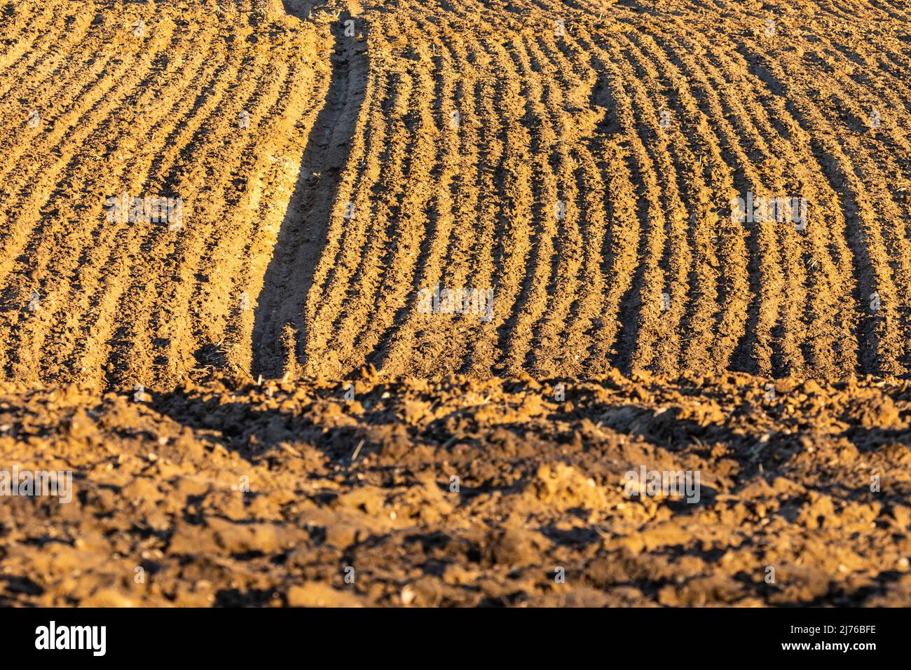 Europe, Poland, Podlaskie Voivodeship, Suwalskie, Suwalszczyzna region