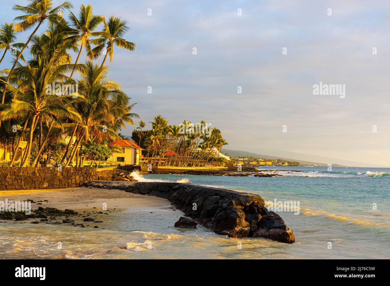Kona hawaii palm trees hi-res stock photography and images - Alamy