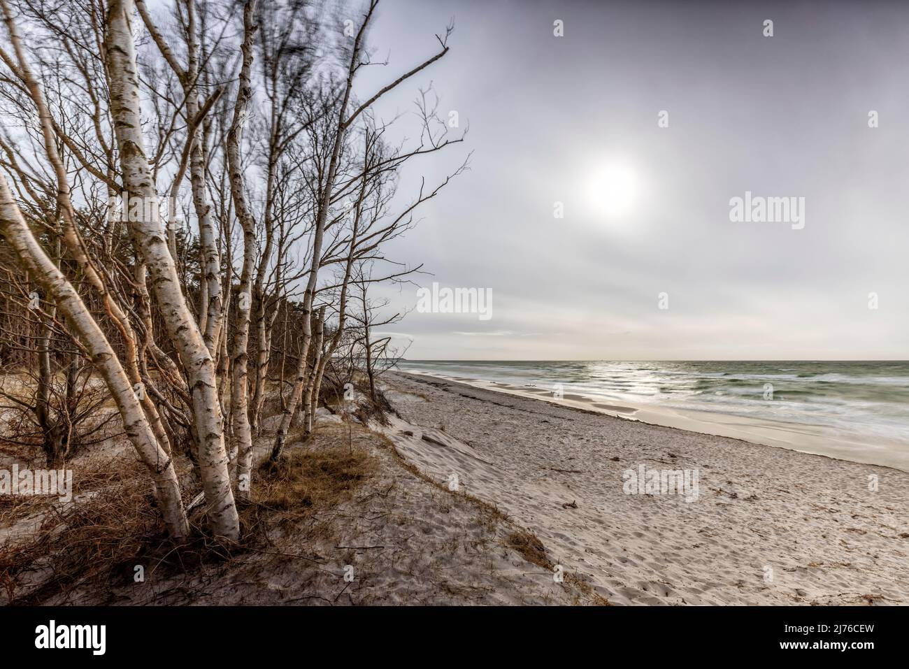 The west beach on the Darß on a cloudy afternoon in March. The special light underlines the rough charm of this dream beach. Stock Photo