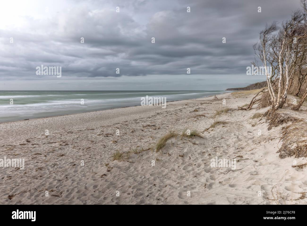 The west beach on the Darß on a cloudy afternoon in March. The special light underlines the rough charm of this dream beach. Stock Photo