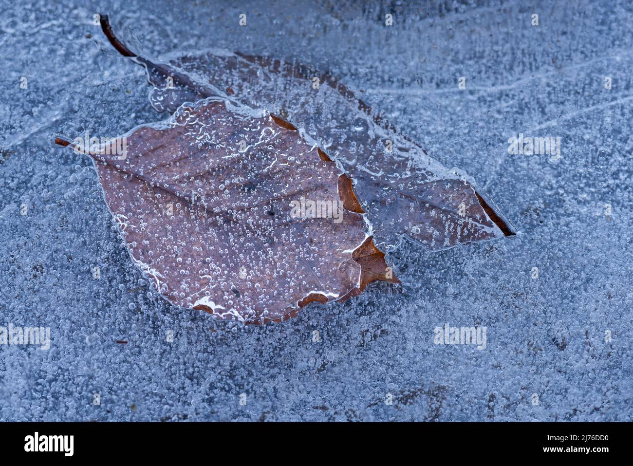 Close up sheet ice frozen hi-res stock photography and images - Alamy