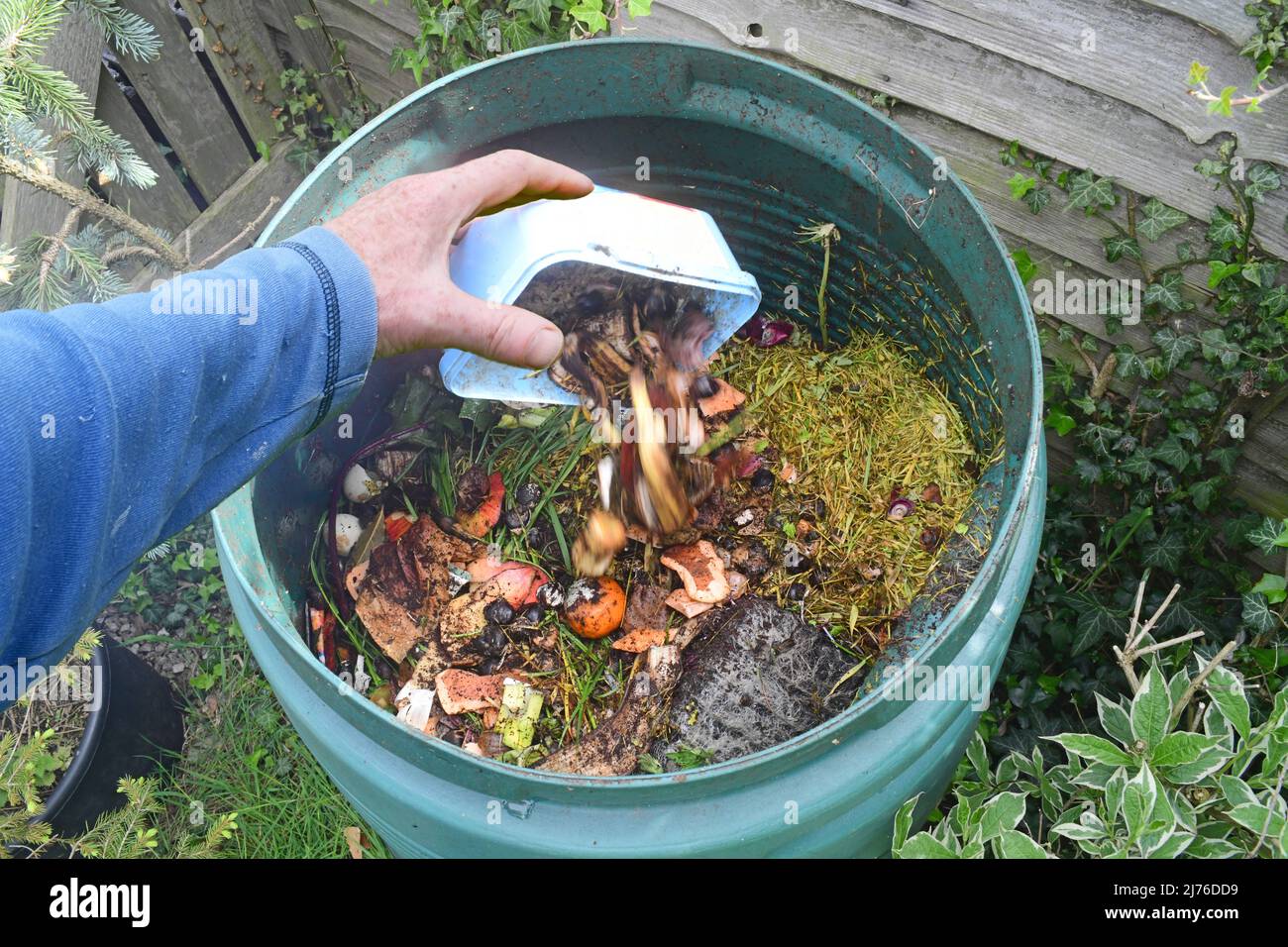 person throwing household waste into composting bin Stock Photo