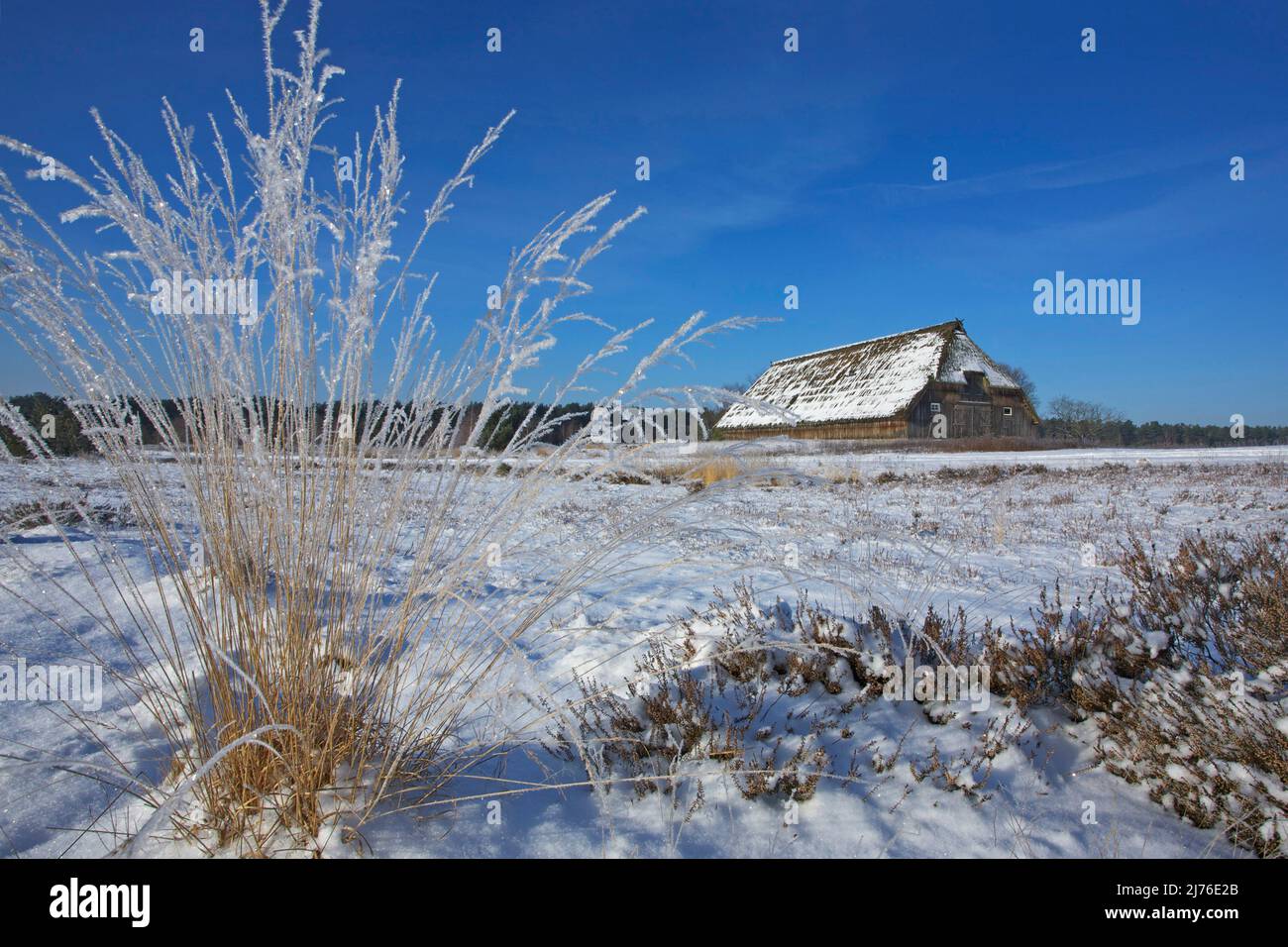 Glitter sparkle snow hi-res stock photography and images - Alamy