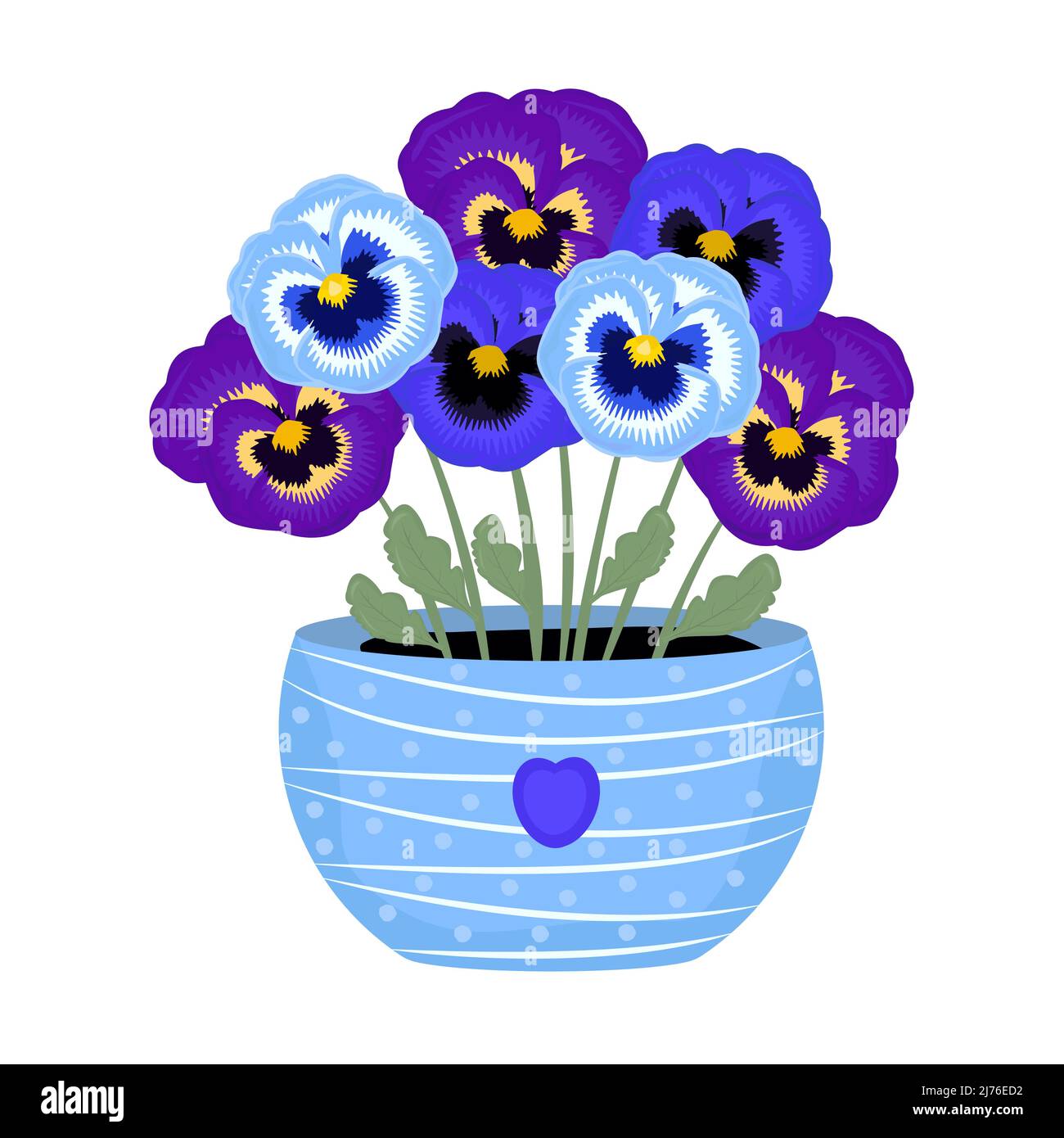 Blue and violet pansies in a pot, seven flowers Stock Vector