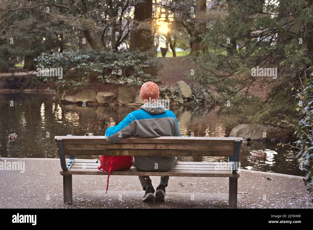 Man sitting alone on bench between trees at beautiful spring park Stock ...