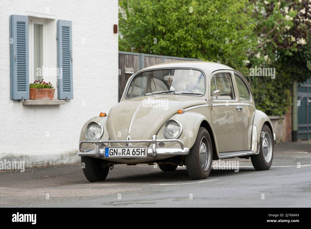 VW Beetle 1300, year of manufacture ca 1965, capacity 1, 3 liter, 44 hp Stock Photo
