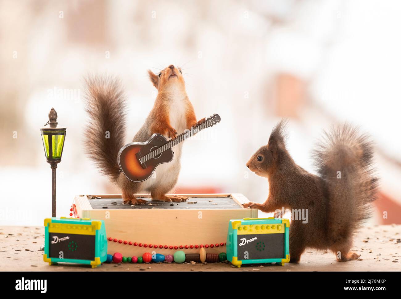 red squirrel is holding an guitar standing on podium Stock Photo