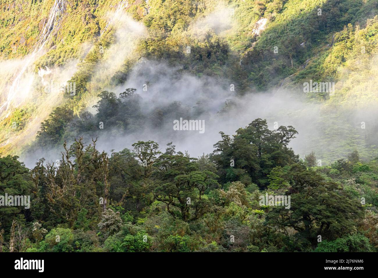 A new morning dawning at Doutful Sound, clouds hanging low in the mountains, South Island of New Zealand Stock Photo
