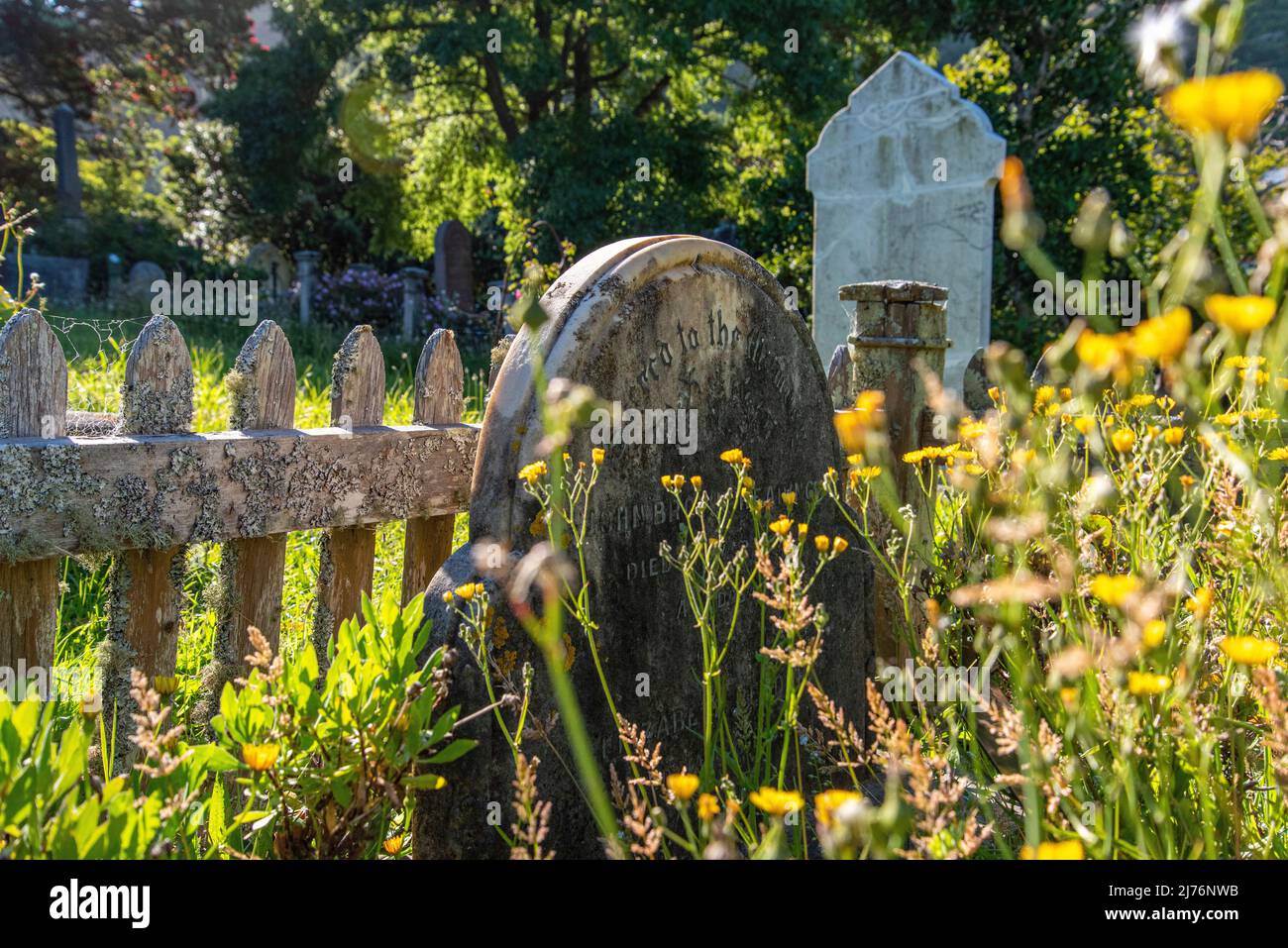 Old gravestones at Bolton Street Cemetery in Wellington, New Zealand Stock Photo