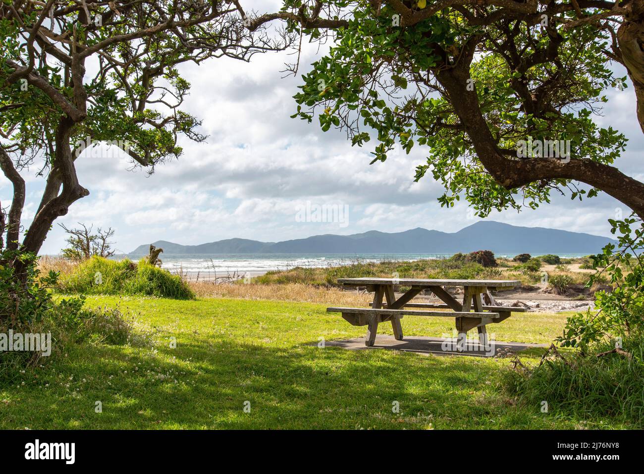 Picnic table at the Pacific coast in Queen Elisabeth Park, North Island of New Zealand Stock Photo