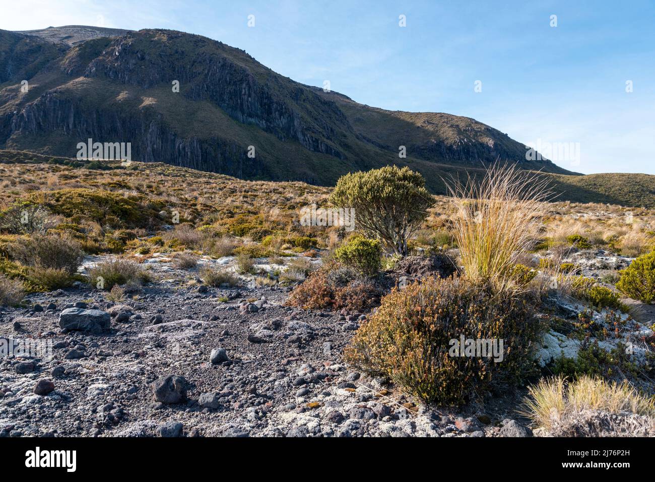Hiking the Tongariro Alpine Crossing, Northern Circuit of Tongariro ...