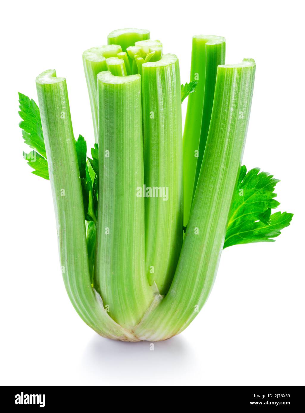 Fresh celery stalk isolated on white background Stock Photo Alamy