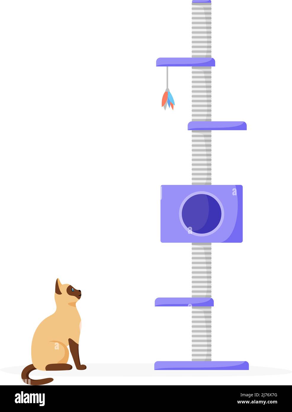 Cat claw tower 2025
