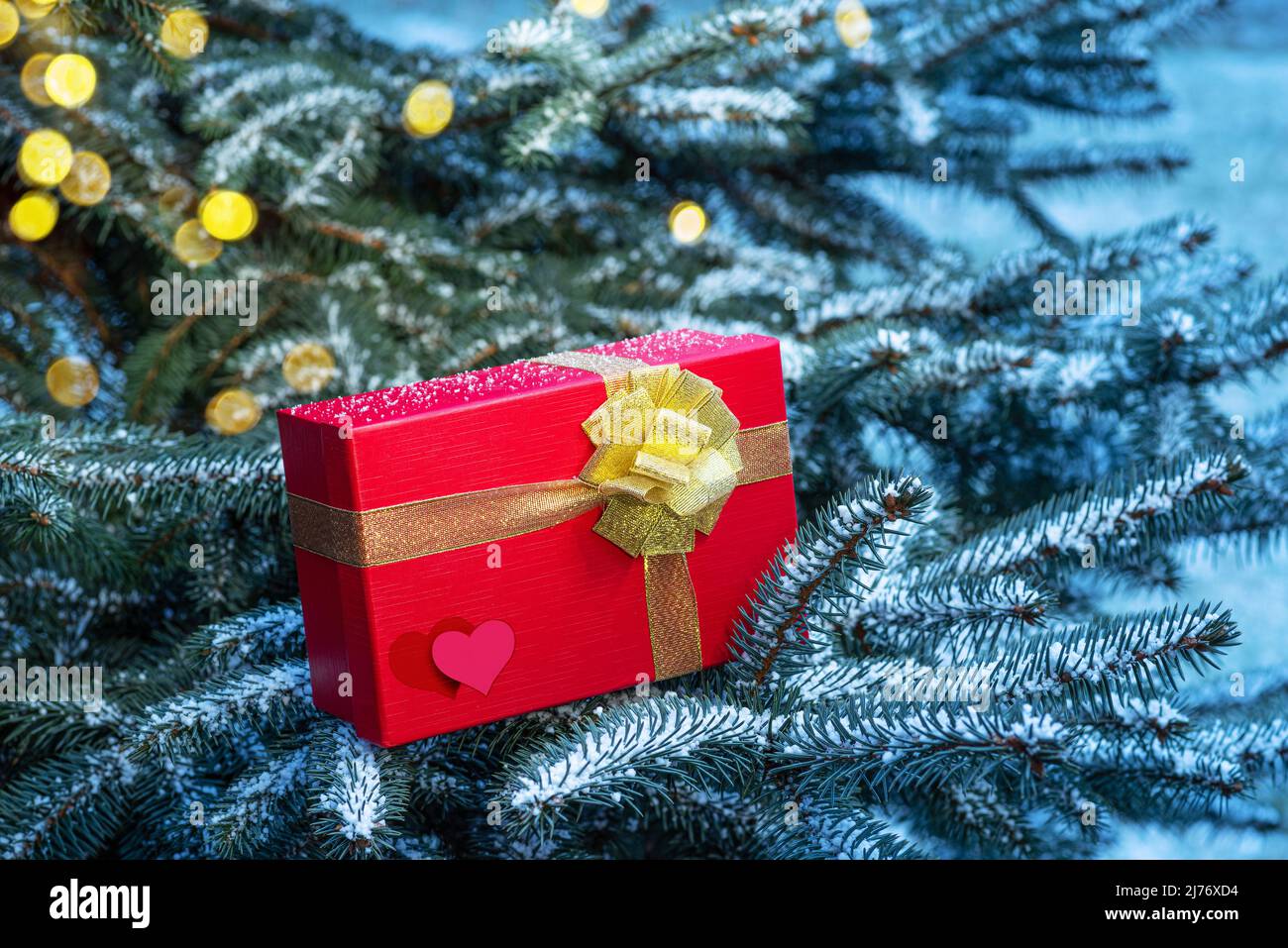 Red box-gift for Valentine's Day with hearts on fir branches. Stock Photo