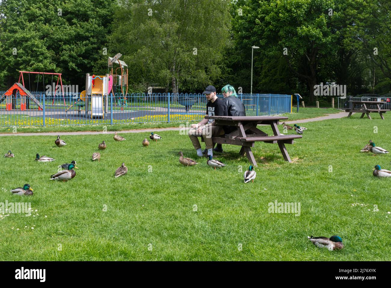 Young couple sitting in a park feeding the ducks Stock Photo