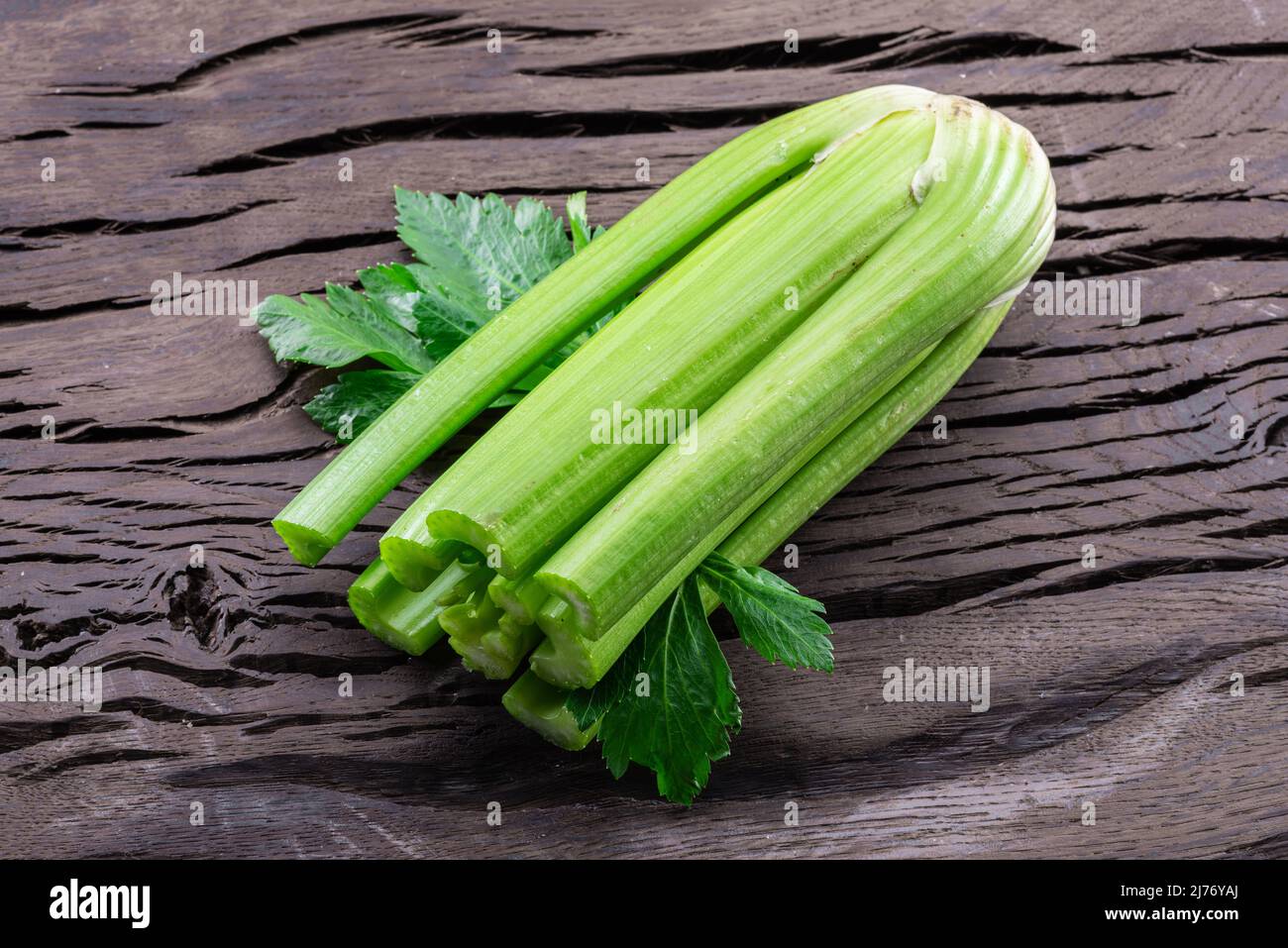 Celery stalk cross section hires stock photography and images Alamy