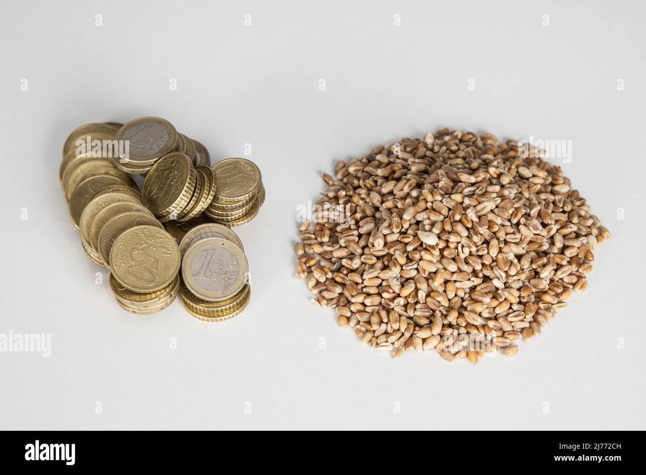 A handful of euro coins lies next to a handful of grain. The high grain prices are frightening farmers, traders and consumers. Stock Photo