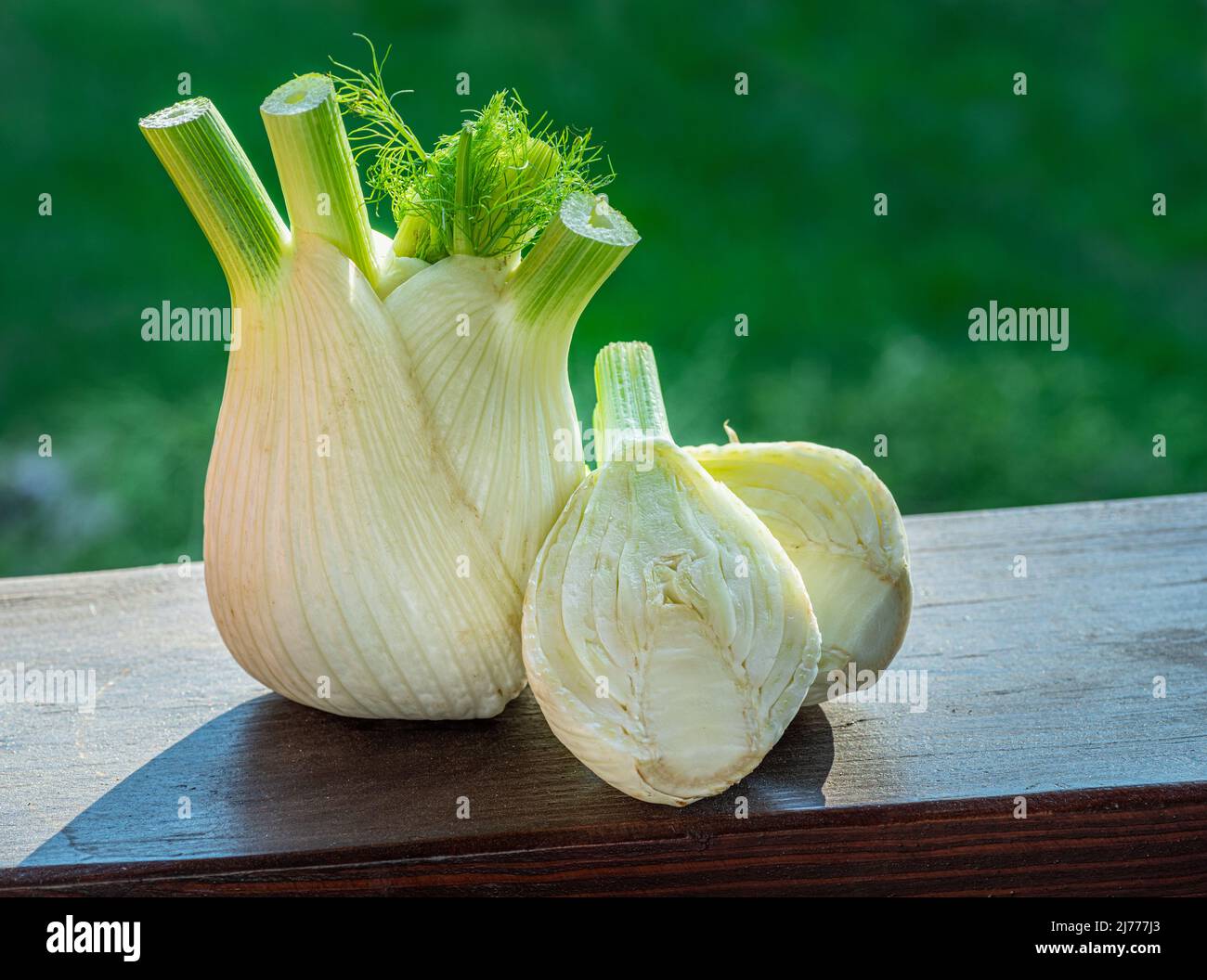 Florence fennel bulbs on aged wooden board. Green nature background. Stock Photo
