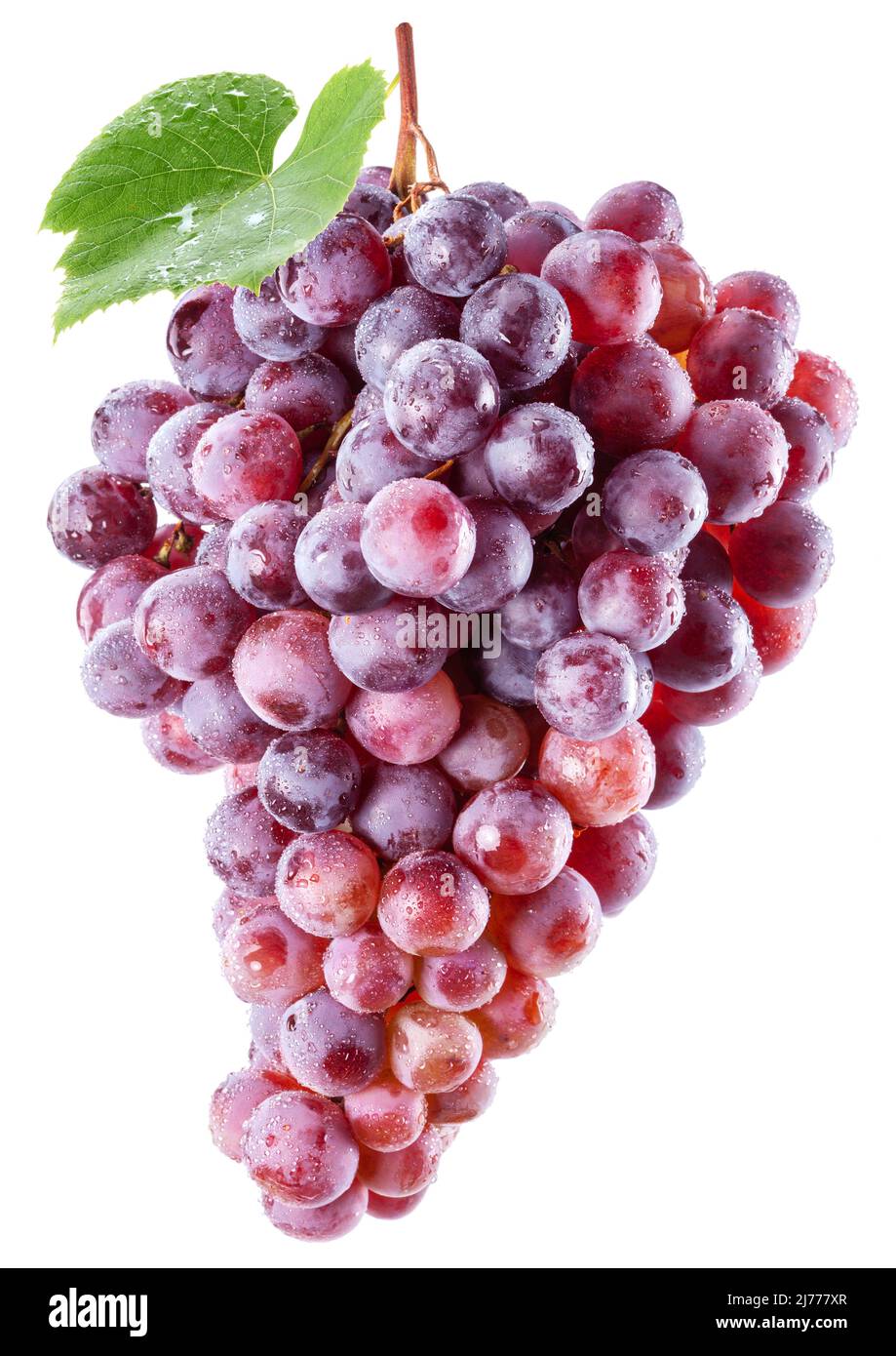 Bunch of pink grapes in water drops with a grape leaf isolated on a ...