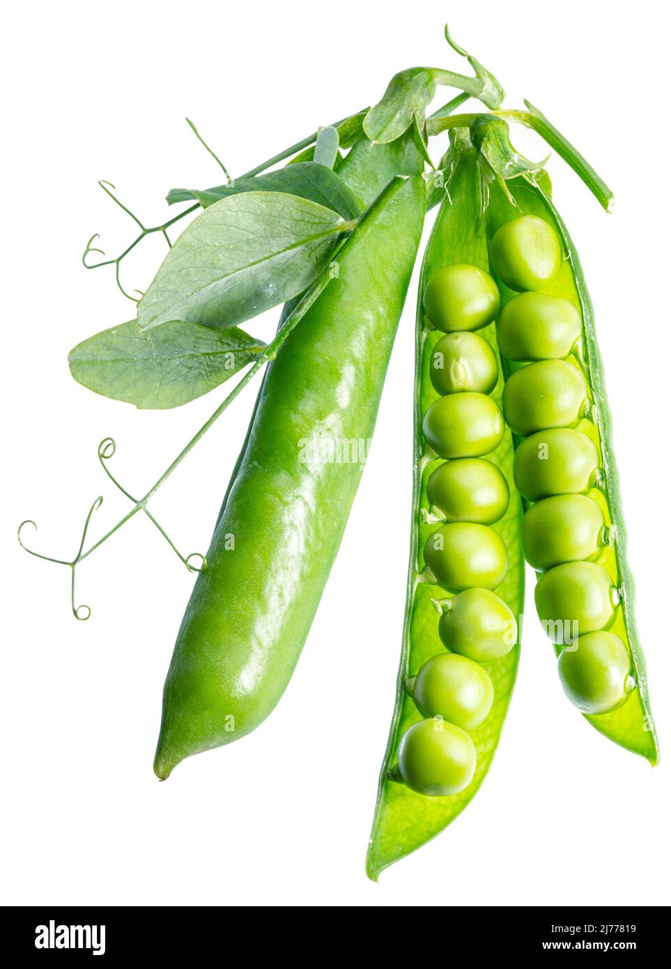 Perfect green peas in pod isolated on white background Stock Photo - Alamy