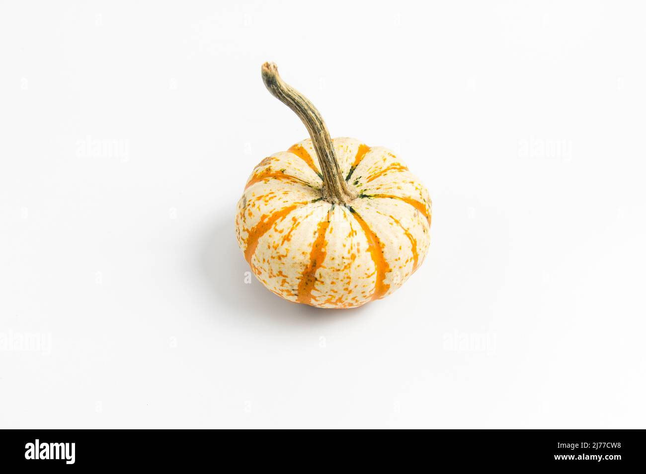 three white and orange striped pumpkins with negative space Stock Photo