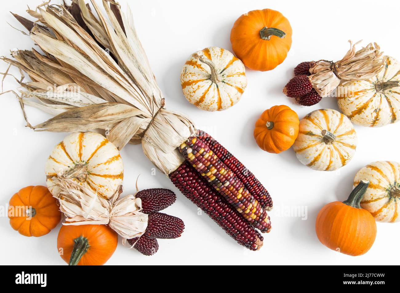 fall flat lay of red and yellow corn and pumpkins Stock Photo