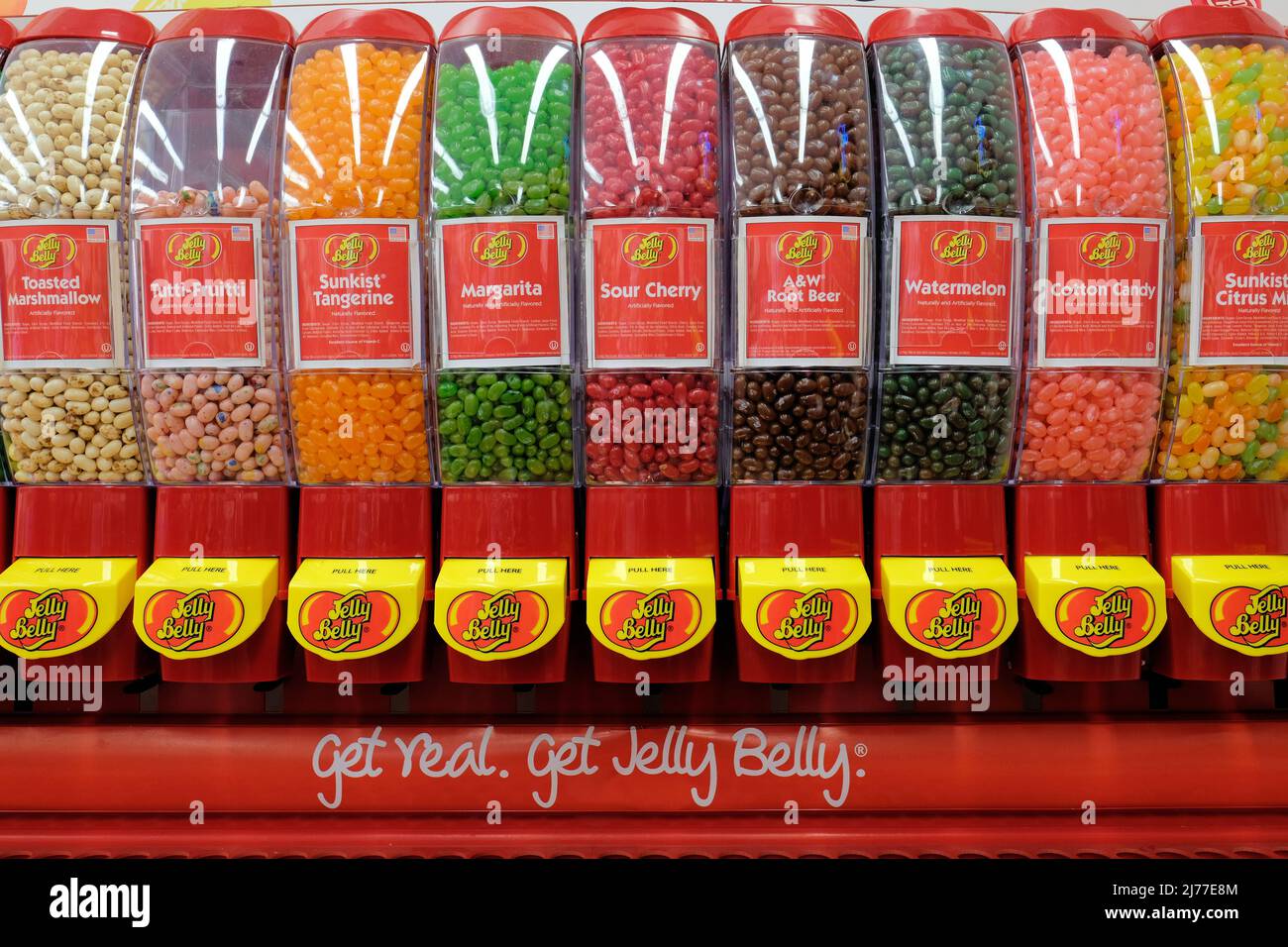 A Jelly Belly brand jelly bean dispenser with assorted flavors for sale