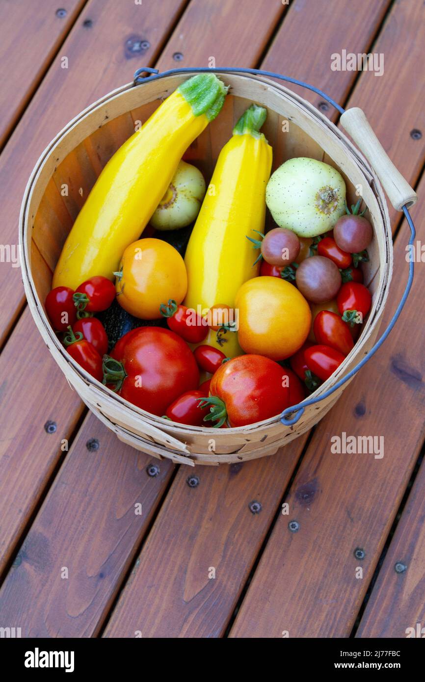 Overhead image of a bushel basket full of farm-fresh organic summer produce sitting on a wooden deck. Stock Photo