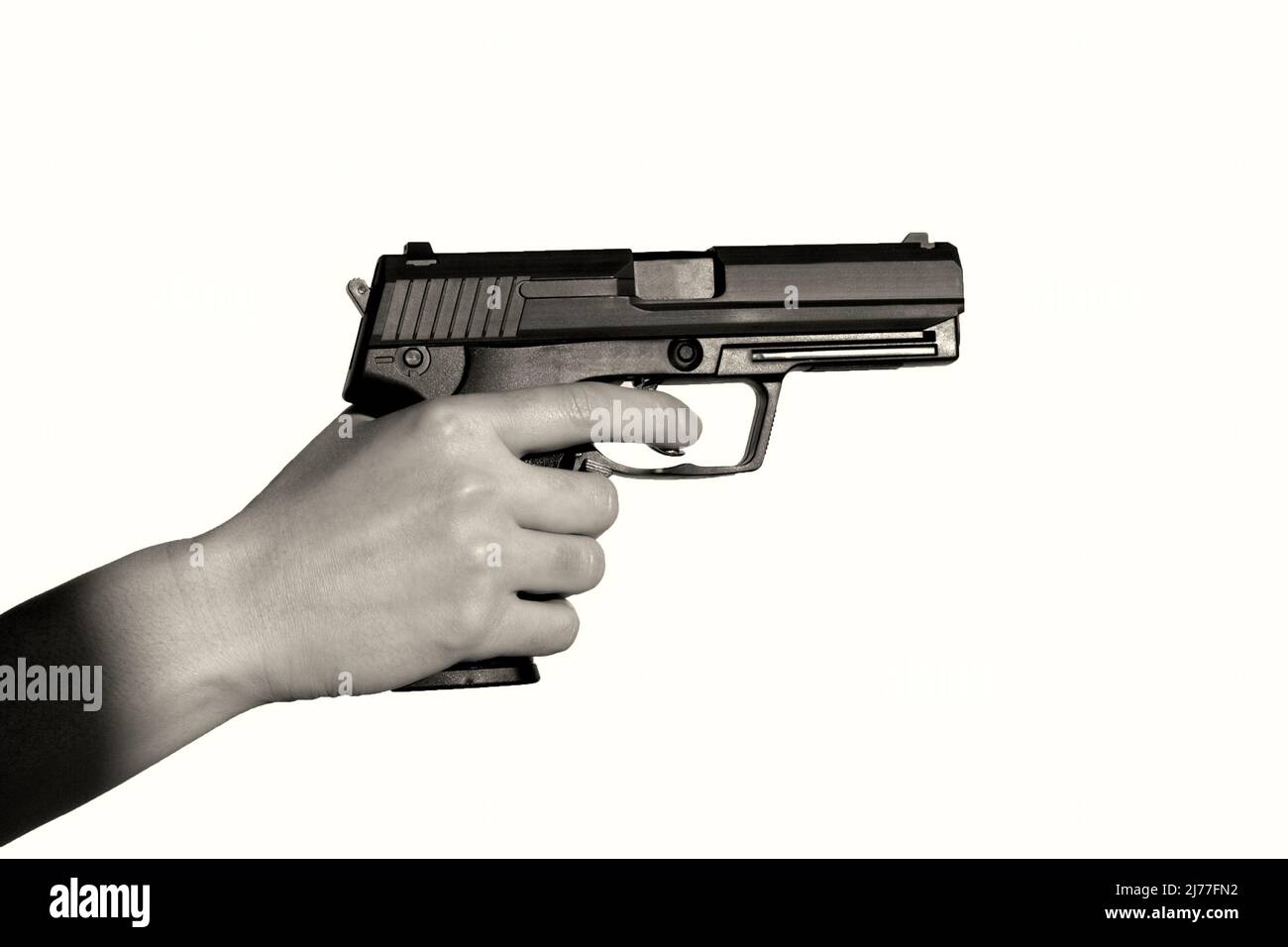 The of woman hand with the colt Stock Photo