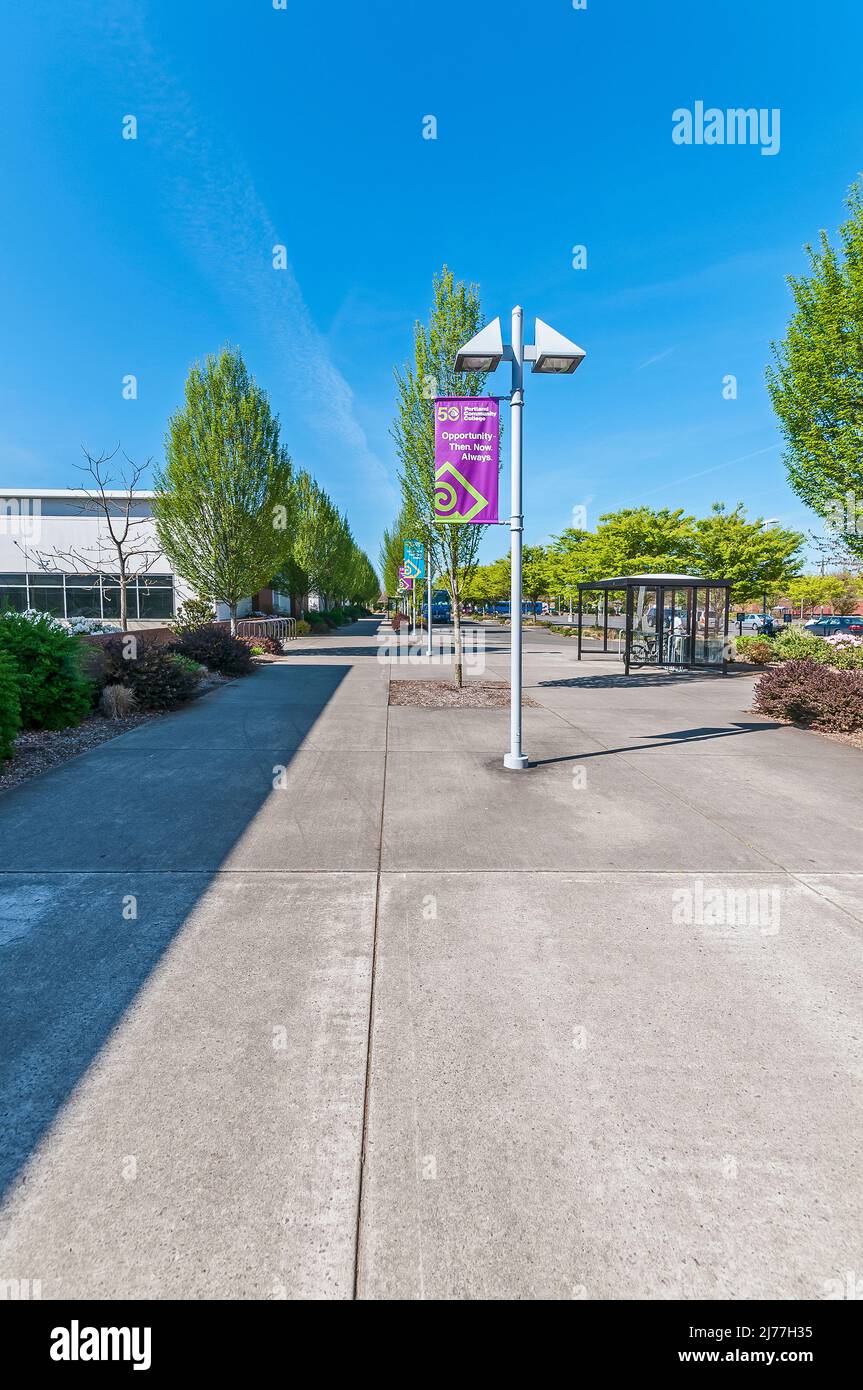 Bicycle and bike racks in the bus waiting area on the campus at