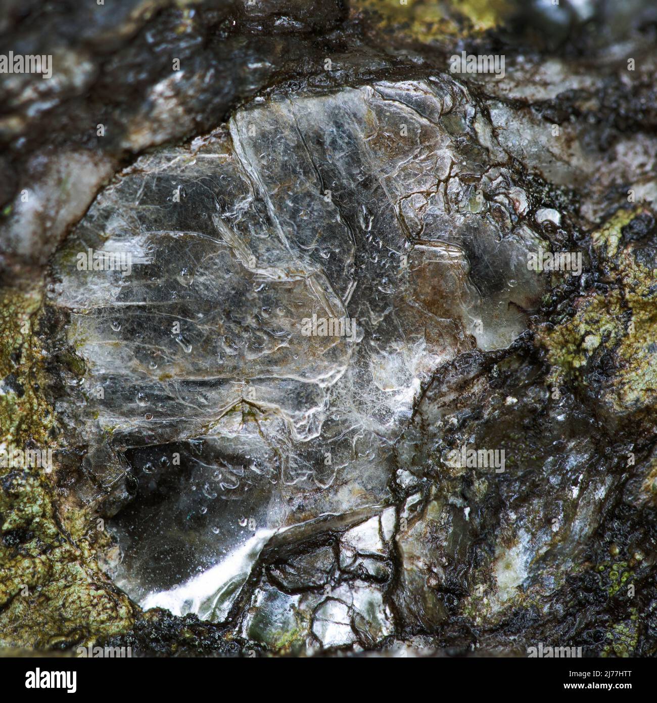 Mica Embedded in Rock Stock Photo
