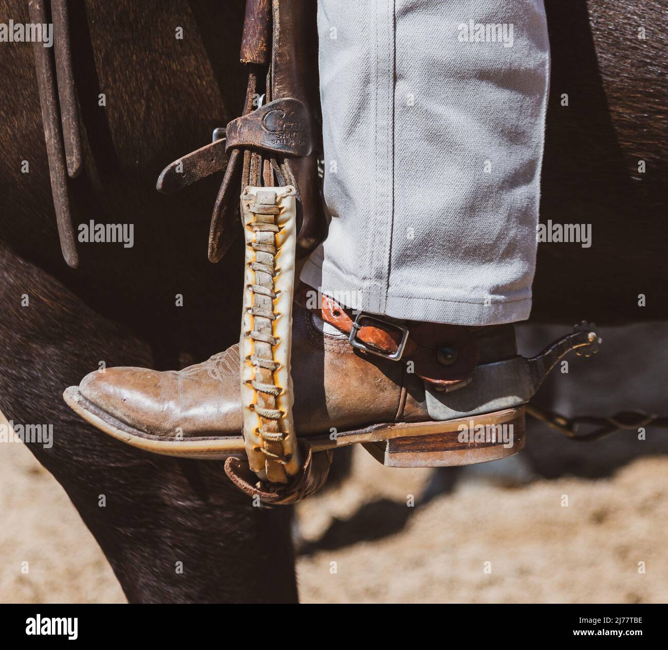 Rm williams riding boots hi-res stock photography and images - Alamy