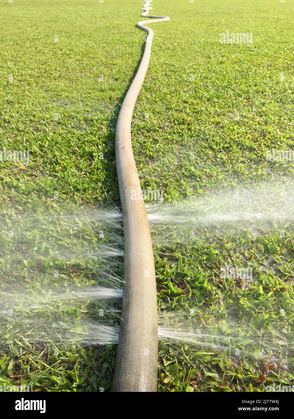 wasting water - water leaking from hole in a hose Stock Photo