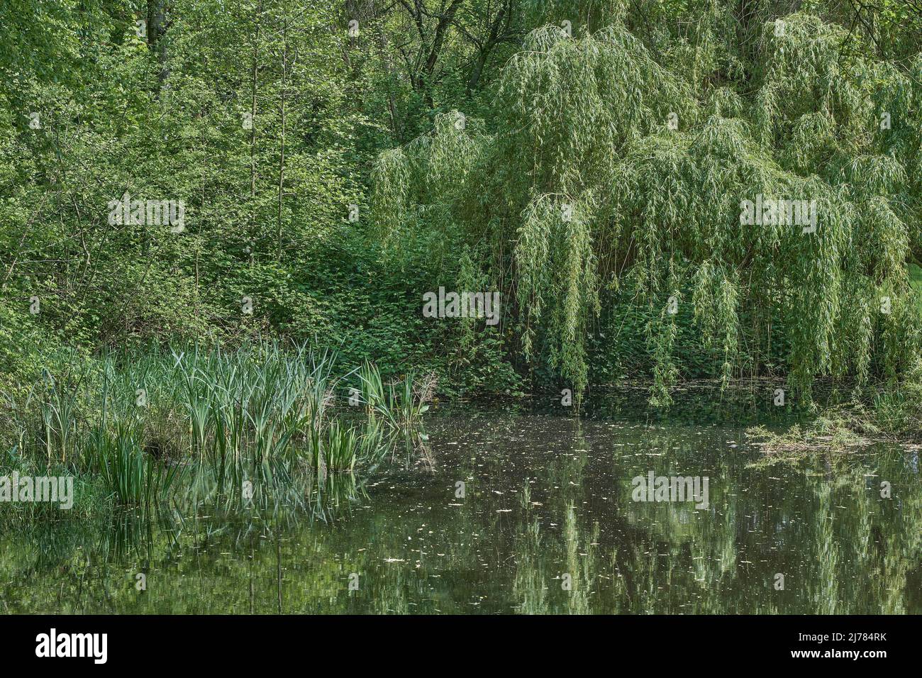 Langenfeld rheinland hi-res stock photography and images - Alamy