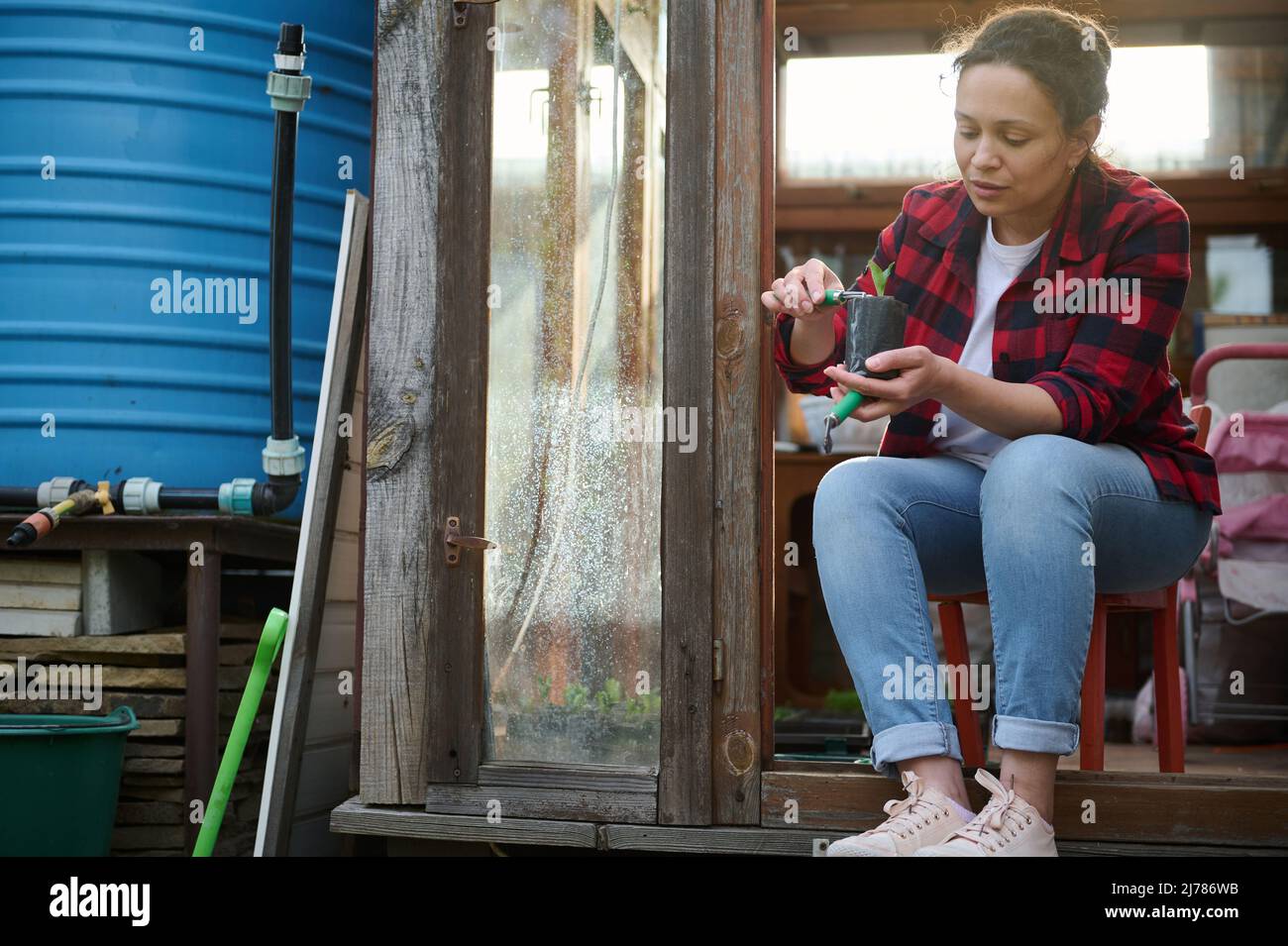 Pretty woman gardener using gardening rake and shovel loosens and digs the black soil with cultivated cucumber seedling, sitting at the entry of her o Stock Photo