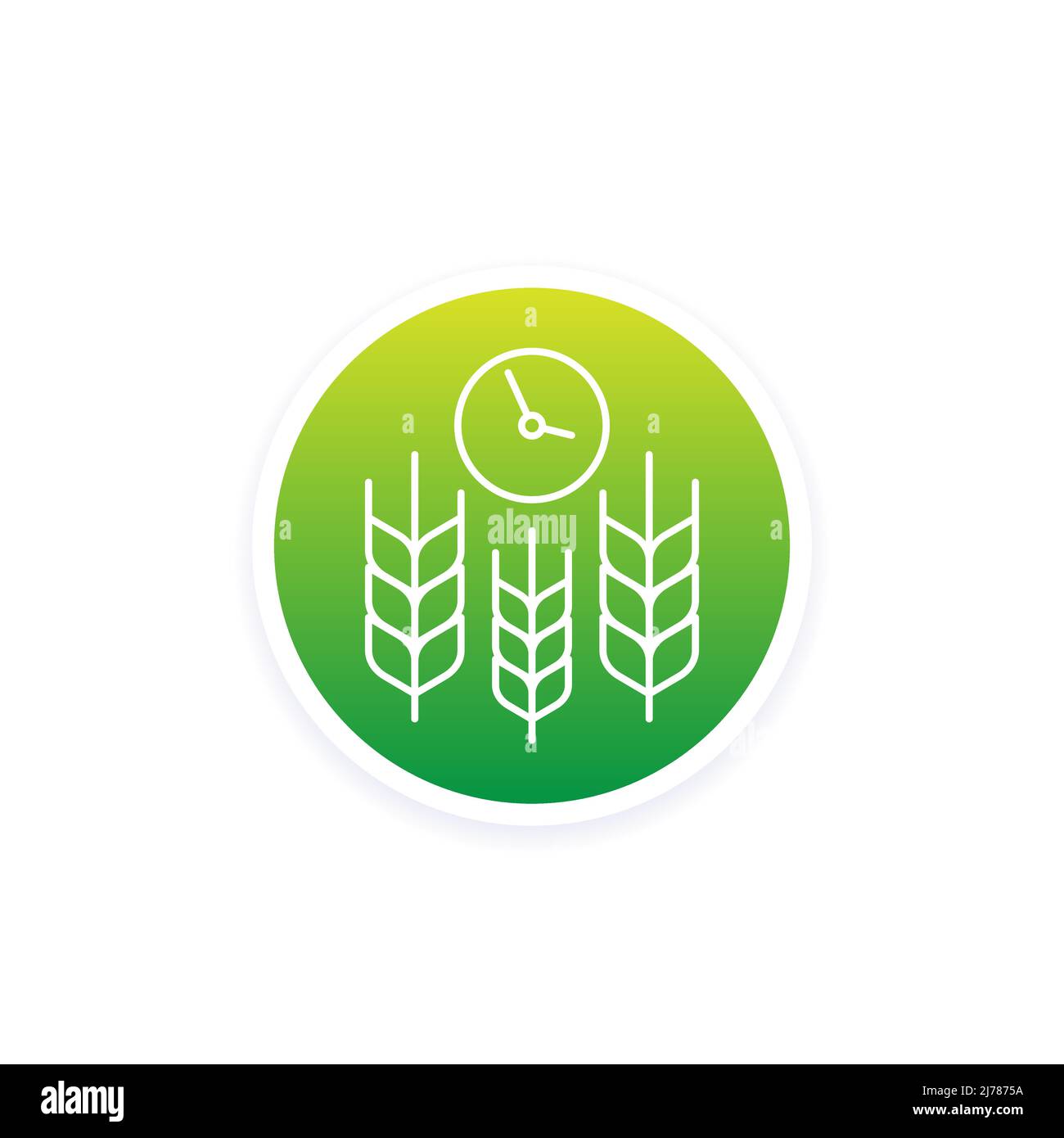 Seed time and harvest Stock Vector Images Alamy