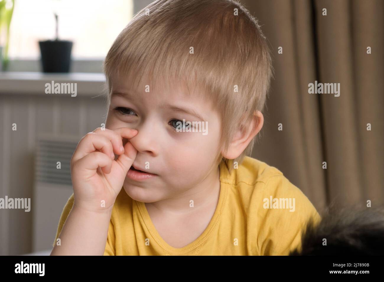 Child boy with blonde hair baby with finger in his nose. Portrait 3 years old kid picking nose. Boy toddler at home. Early age children development. Stock Photo