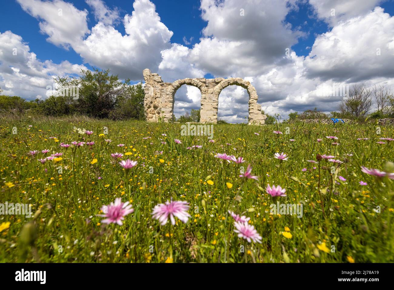 The arches at Burnum, The ruins of the Roman arches at Burnum, Croatia ...