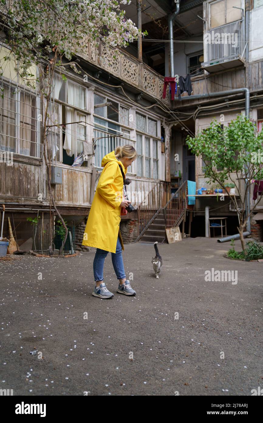 Photographer woman in yellow raincoat and homeless cat on the street in old town of Tbilisi Georgia Stock Photo