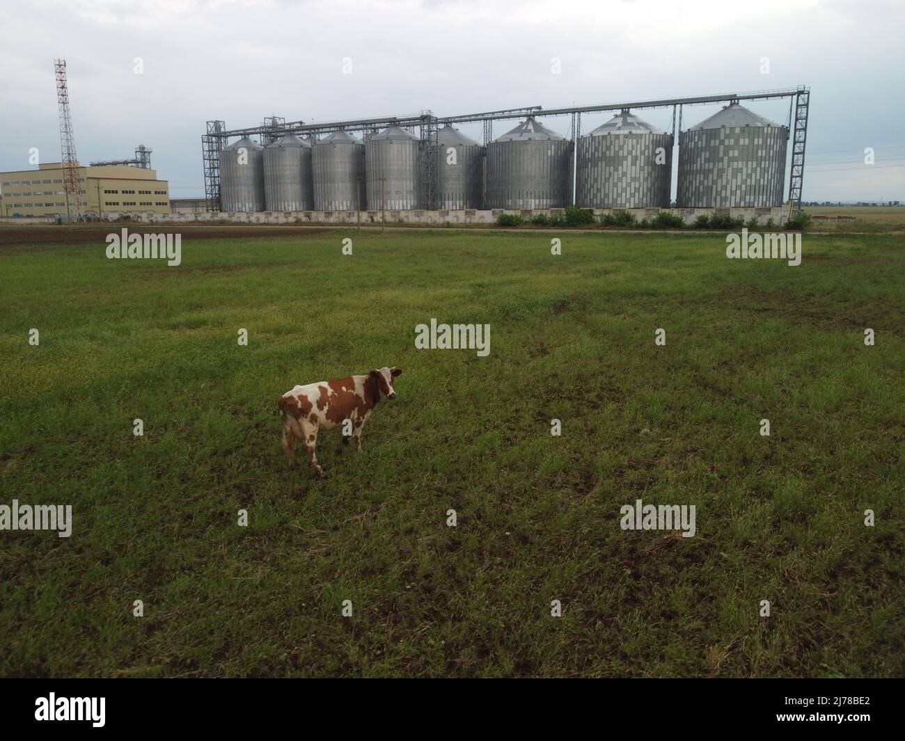 Grain elevator. Metal grain elevator in agricultural zone. Agriculture