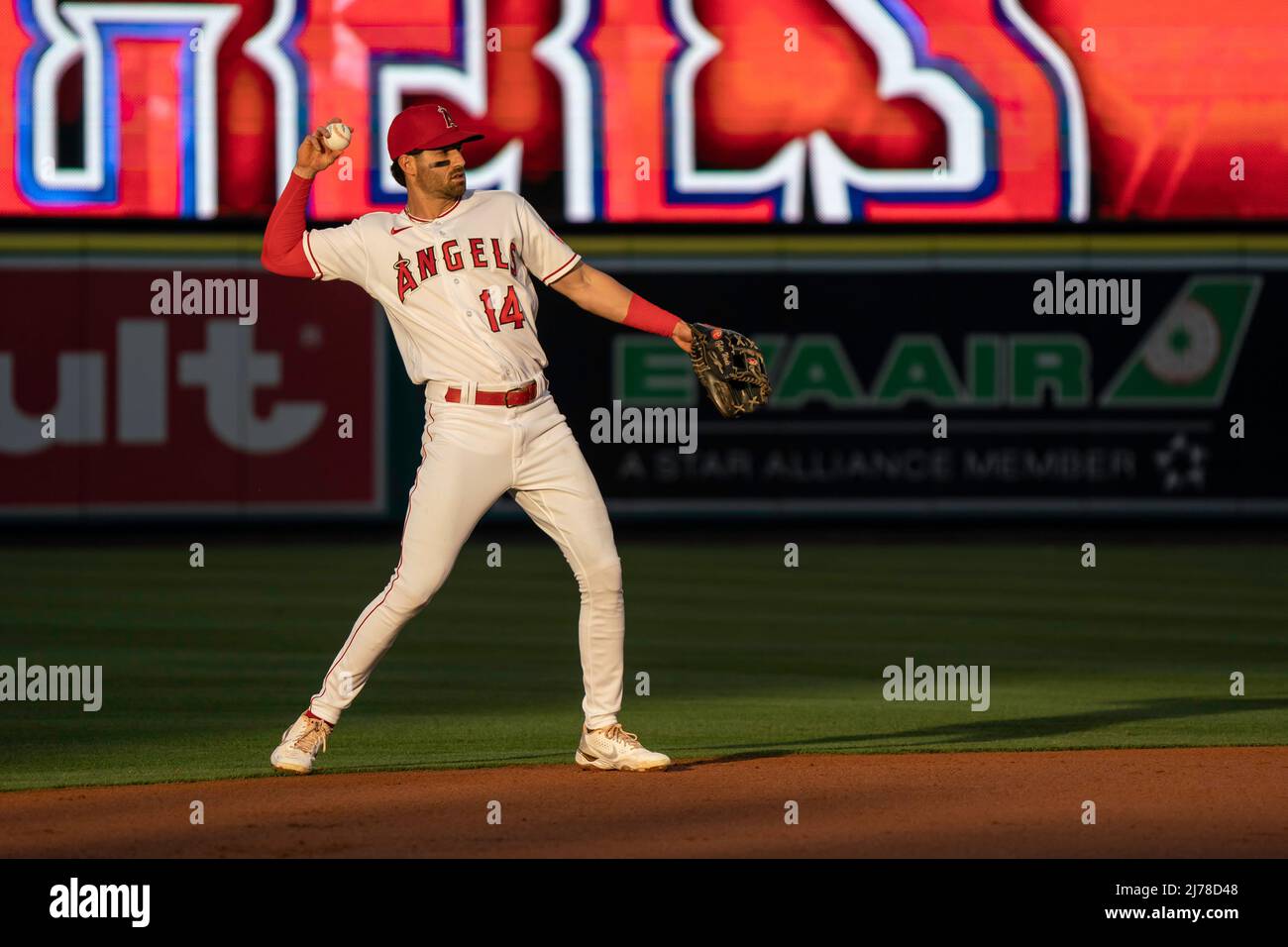 Los Angeles Angels shortstop Tyler Wade (14) during pregame of a MLB