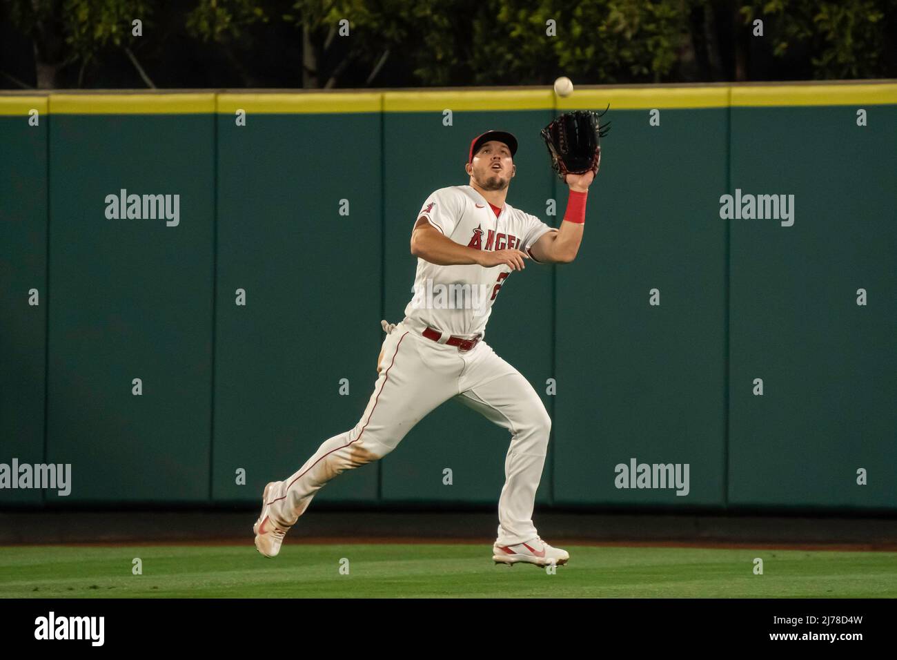 Mike Trout's 1st MLB Jersey Hits Auction Block, Should Sell For