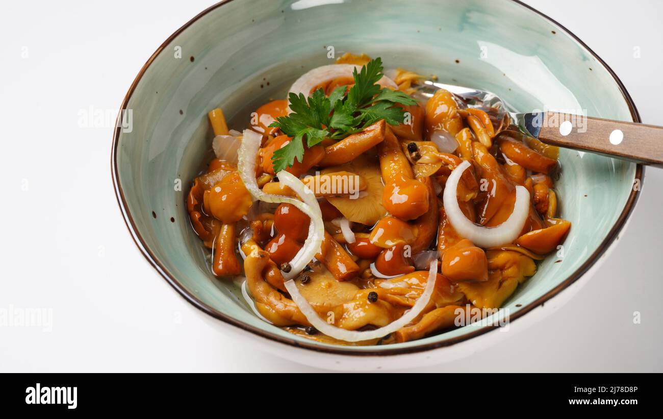 Marinated wild honey fungus Armillaria mellea mushrooms with spices and