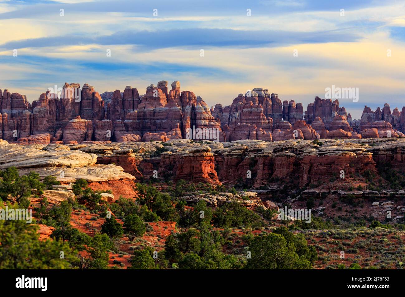 This is a view of the Needles formation in The Needles District of Canyonlands National Park, Utah.  The Needles District is about 60 miles southwest Stock Photo