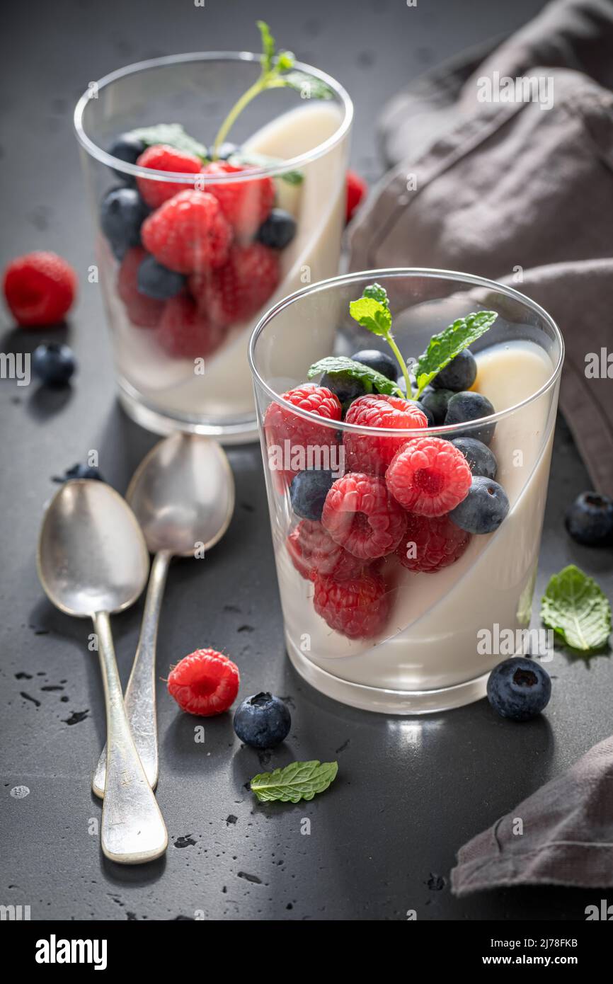 Cold and delicious Panna Cotta as Italian classic dessert. Panna Cotta made of milk, vanilla and
