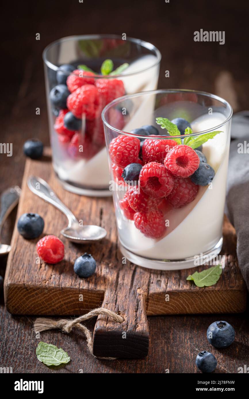 Delicious and cold Panna Cotta made of gelatin and berries. Panna Cotta