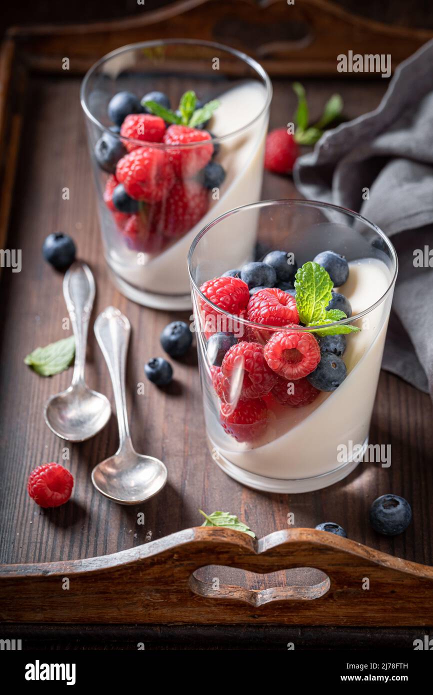 Homemade and tasty Panna Cotta made of gelatin and berries. Panna Cotta made of milk, vanilla